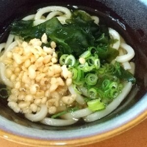 たぬきうどん Tanuki udon noodle